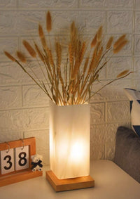 Dimmable Flower Vase Beside Decorative Table Lamp for Rustic Home - lamppure