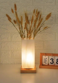 Dimmable Flower Vase Beside Decorative Table Lamp for Rustic Home - lamppure