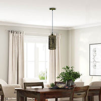 Hanging Wire Cage Pendant Light Fixture~1153 - lamppure