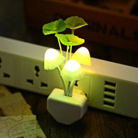 Glowing Mushroom Night Light - lamppure